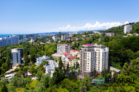 ЖК Резиденция "Сосновый Бор" - фото